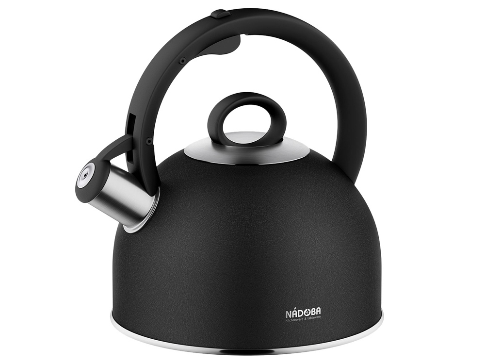 Чайник со свистком «ANESA», 2,9 л