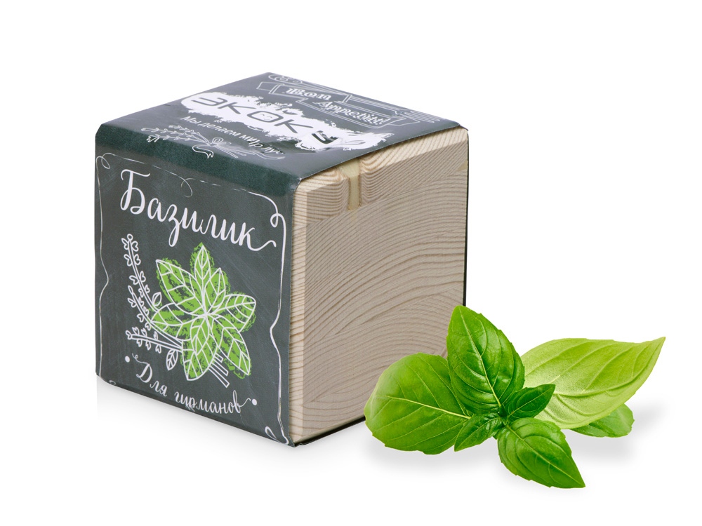 Набор для выращивания «Лаванда»