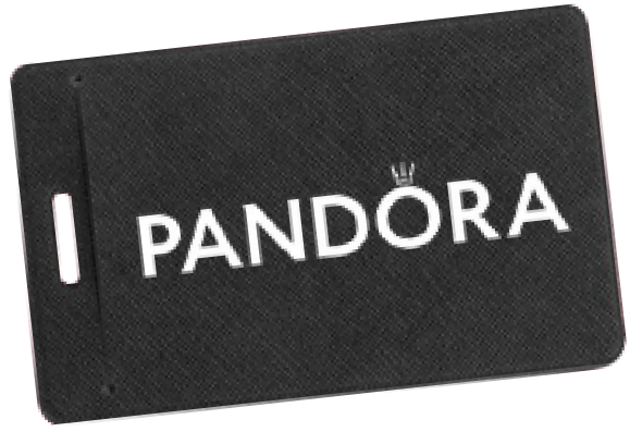 Чехол для пропуска